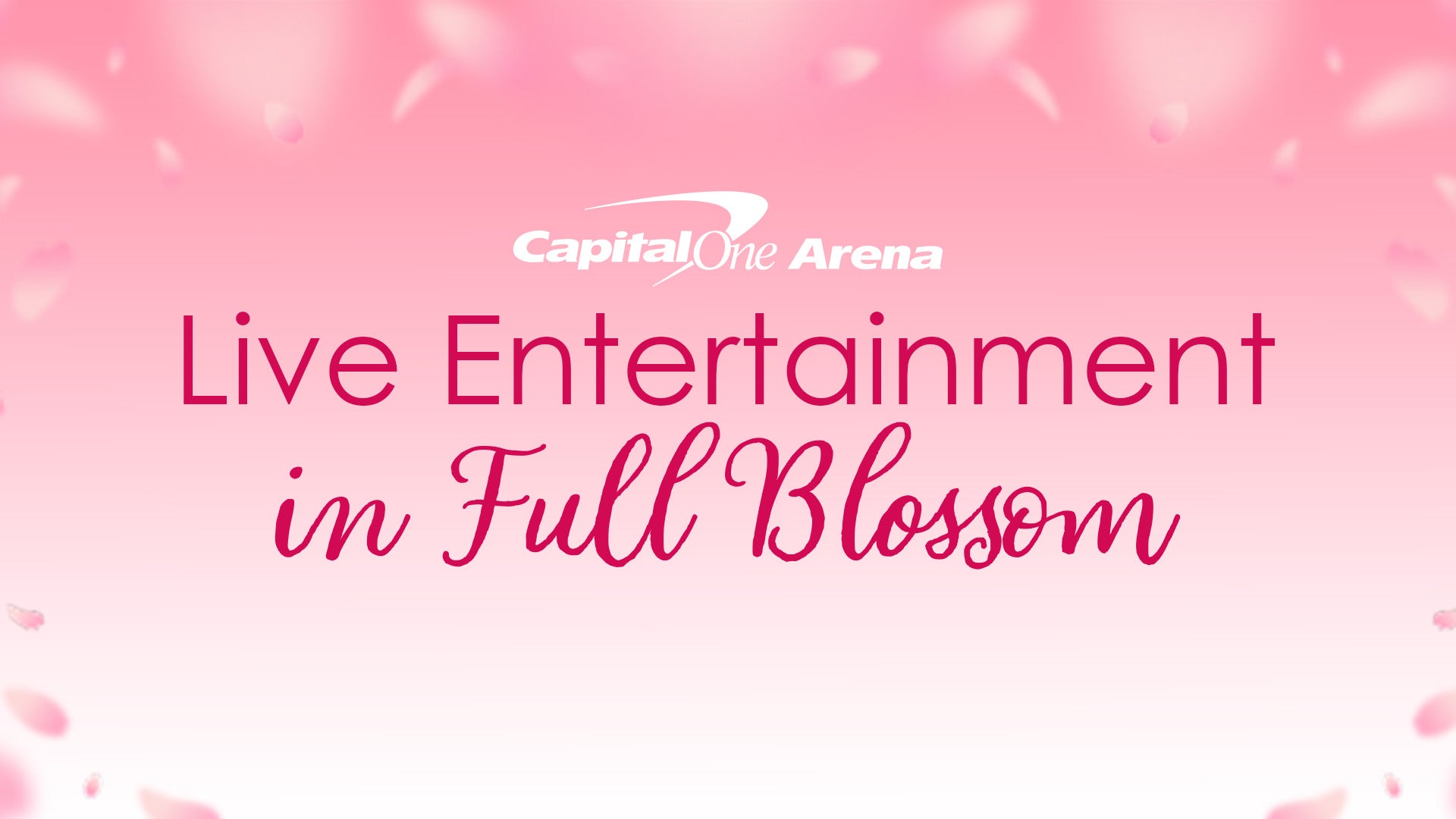 Cherry Blossom Campaign 1920x1080.jpg